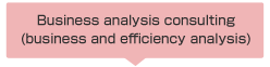 Business analysis consulting (business and efficiency analysis)