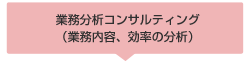 業務分析コンサルティング（業務内容、効率の分析）